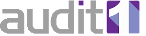 Audit1 logo
